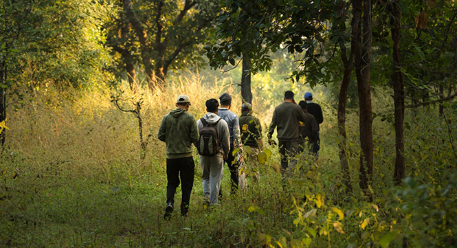 Book 1 Night/2 Days Tadoba National Park Family Wildlife Tour
