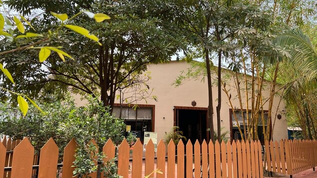 Tadoba National Park – Ultimate Safari & Wildlife Experience in India