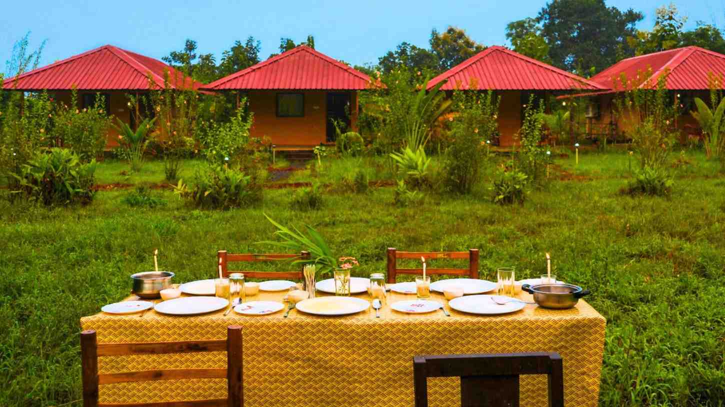 How To Choose Between Tadoba Moharli Gate Resorts
