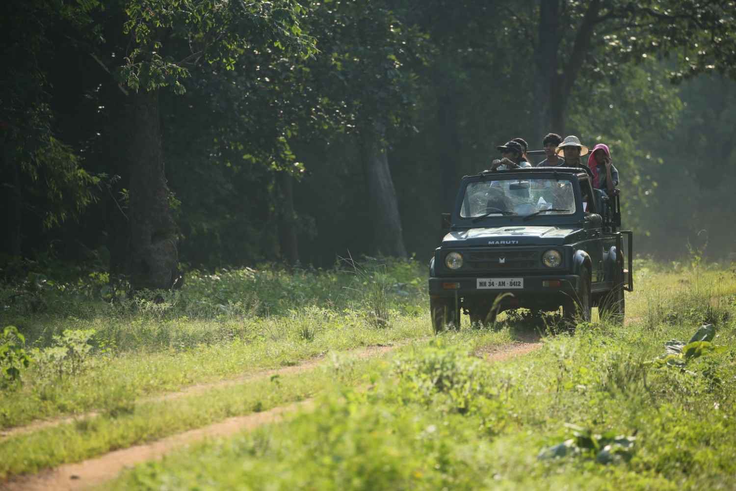 Before Tadoba Jungle Safari Booking Know This Story 